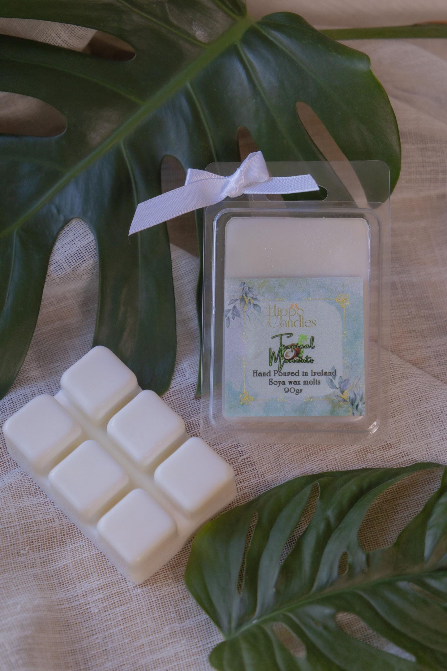Wax Melts - Clamshell Wax Melts